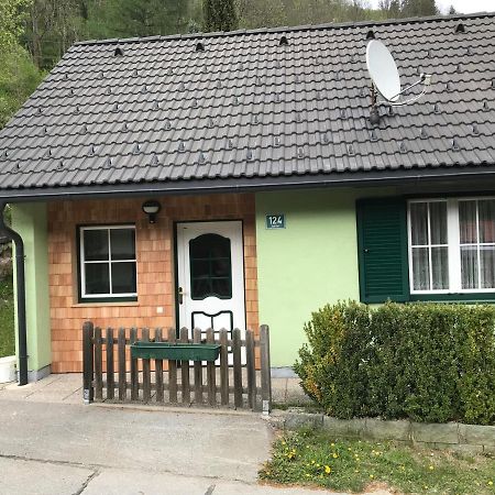 Ferienhaus Stolz Sankt Peter am Kammersberg ภายนอก รูปภาพ